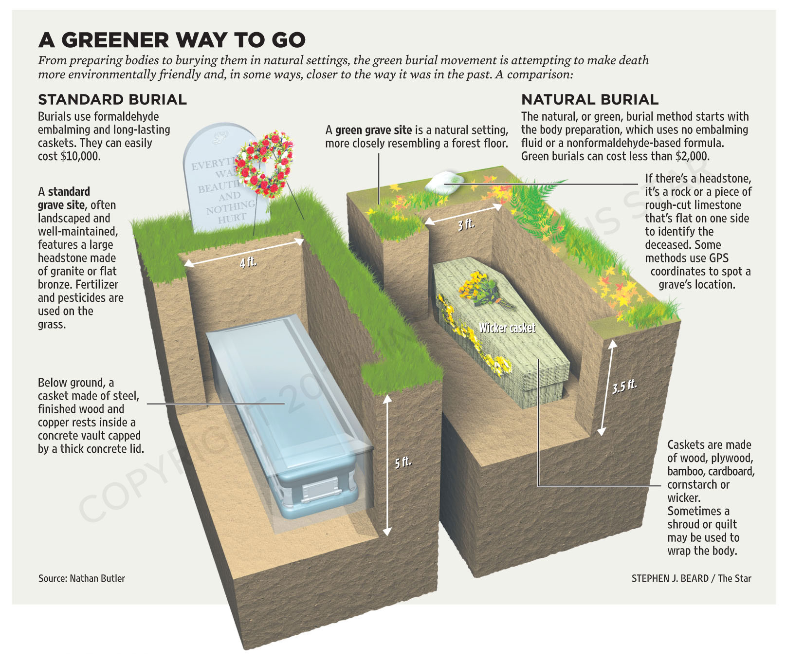 green burial business plan